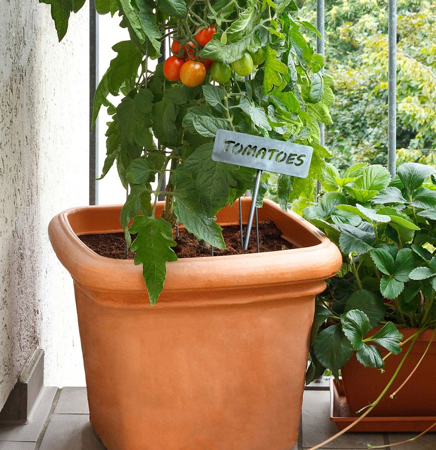Customizable Garden Labels, Garden Stakes, Garden Labels, Metal Garden Art | S141