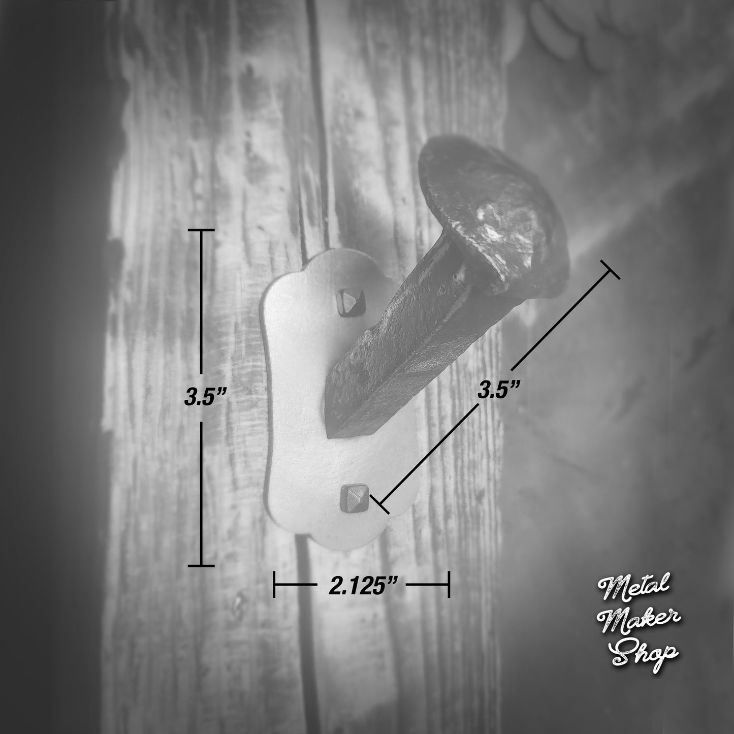 Railroad Spike Hook