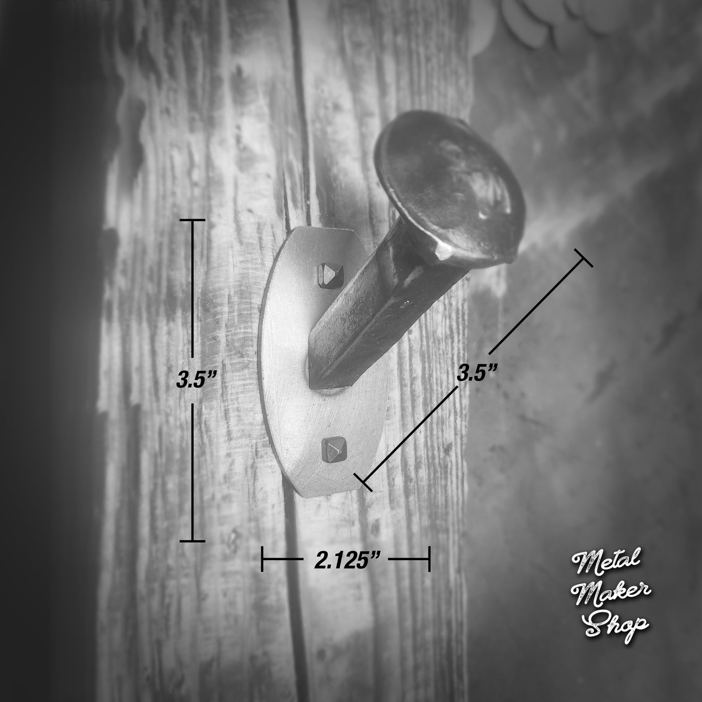Railroad Spike Hook